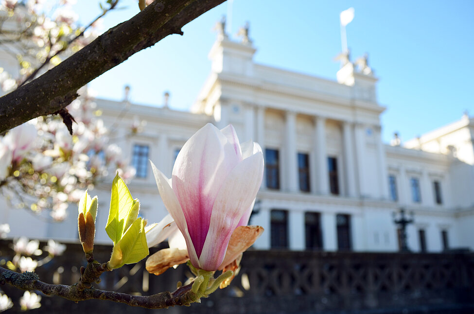 Universitetshuset i Lundagård. Foto.