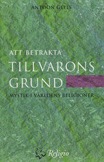 Att betrakta tillvarons grund